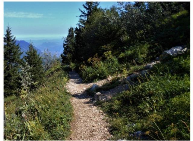 Grenoble Sud Varces Suite Privatisee Au Pied Des Montagnes Экстерьер фото